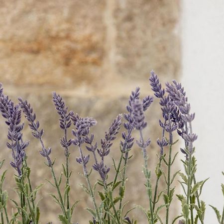 Aparrtment Terra- Combine Beach&Old Town Lägenhet Split Exteriör bild